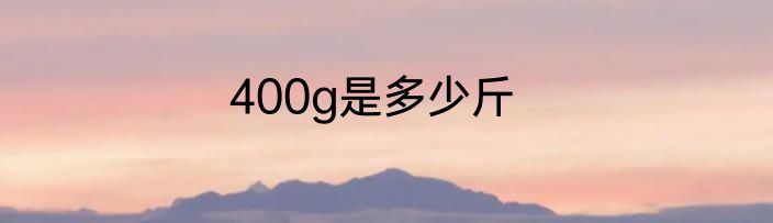 400g是多少斤