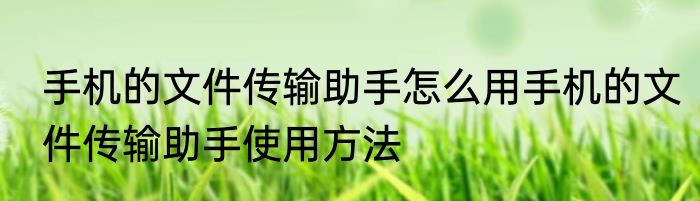 手机的文件传输助手怎么用手机的文件传输助手使用方法
