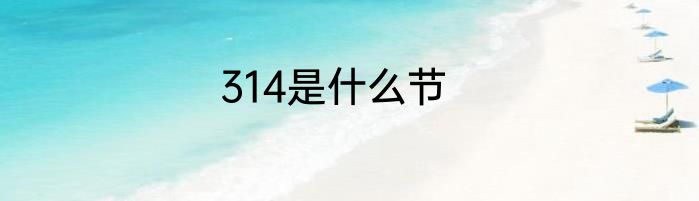 314是什么节