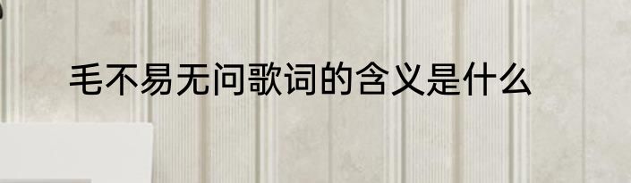 毛不易无问歌词的含义是什么
