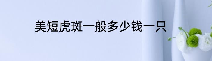 美短虎斑一般多少钱一只
