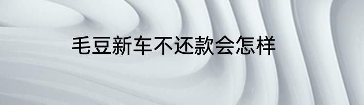 毛豆新车不还款会怎样
