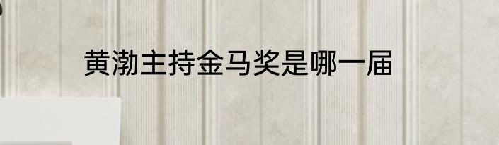黄渤主持金马奖是哪一届