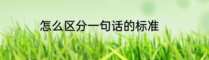 怎么区分一句话的标准