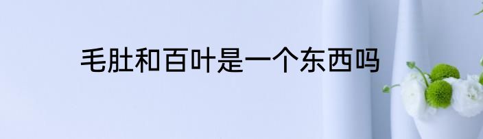 毛肚和百叶是一个东西吗