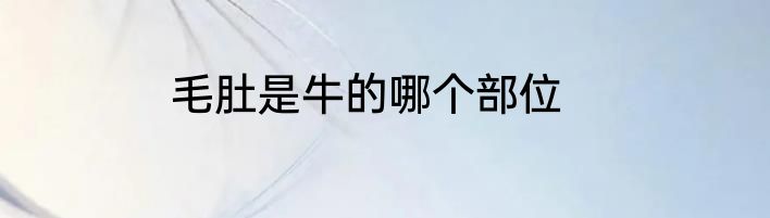 毛肚是牛的哪个部位