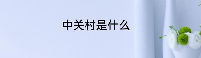 中关村是什么