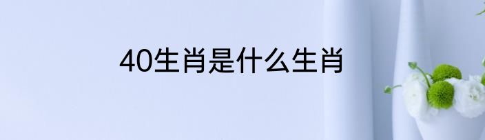 40生肖是什么生肖