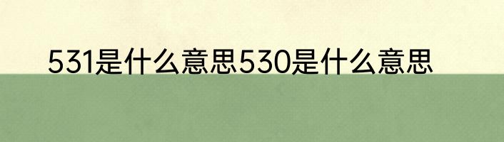 531是什么意思530是什么意思