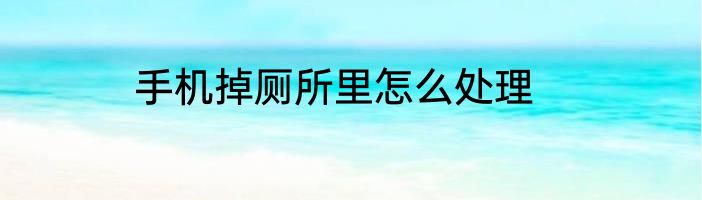 手机掉厕所里怎么处理