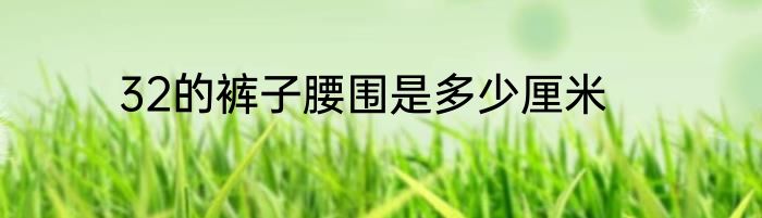 32的裤子腰围是多少厘米
