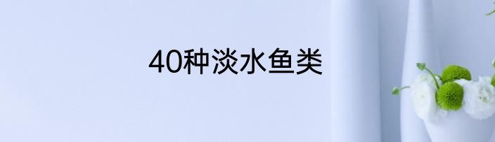 40种淡水鱼类