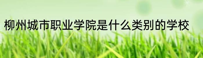 柳州城市职业学院是什么类别的学校