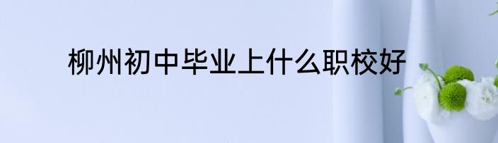 柳州初中毕业上什么职校好