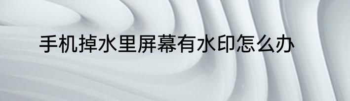 手机掉水里屏幕有水印怎么办