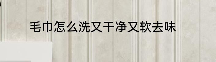 毛巾怎么洗又干净又软去味