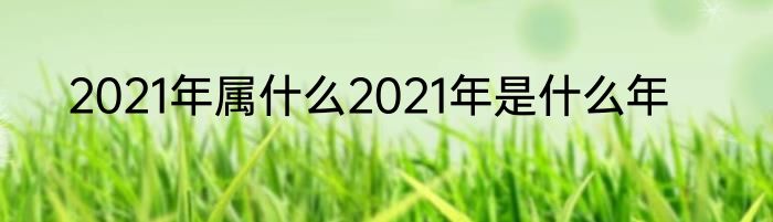 2021年属什么2021年是什么年