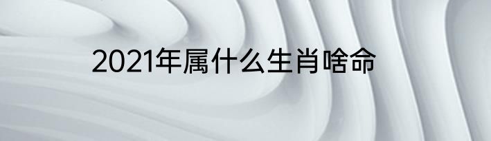 2021年属什么生肖啥命