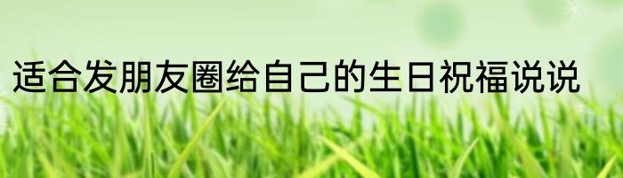 适合发朋友圈给自己的生日祝福说说