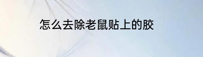 怎么去除老鼠贴上的胶