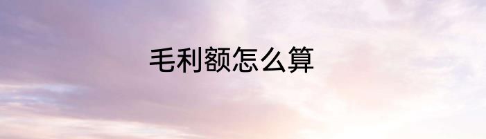 毛利额怎么算