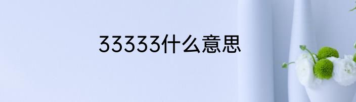 33333什么意思