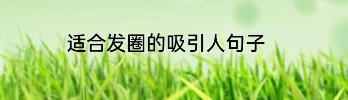 适合发圈的吸引人句子