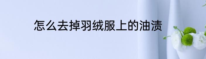 怎么去掉羽绒服上的油渍