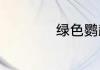 绿色鹦鹉是什么品种