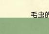 毛虫的天敌是什么