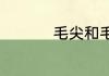 毛尖和毛峰有什么区别