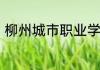 柳州城市职业学院是什么类别的学校