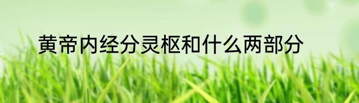 黄帝内经分灵枢和什么两部分