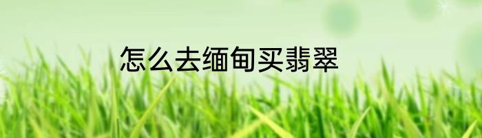 怎么去缅甸买翡翠