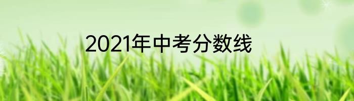 2021年中考分数线