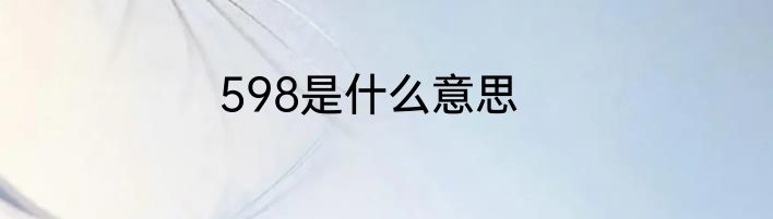 598是什么意思