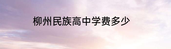 柳州民族高中学费多少