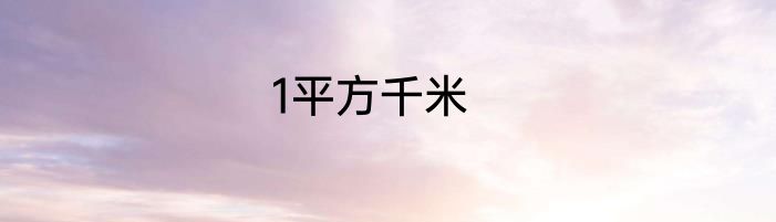 1平方千米