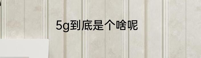 5g到底是个啥呢