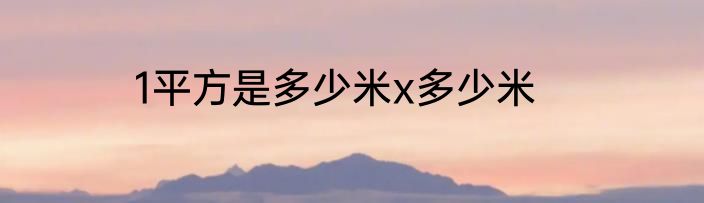1平方是多少米x多少米