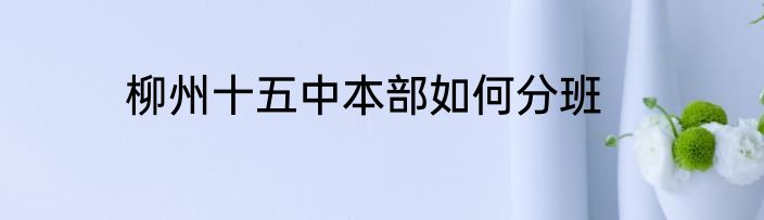 柳州十五中本部如何分班