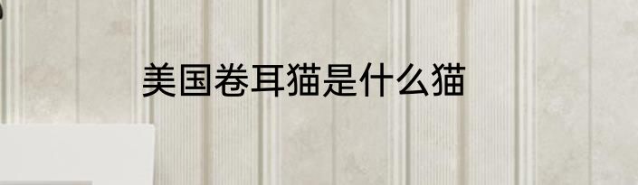 美国卷耳猫是什么猫