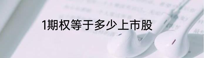 1期权等于多少上市股