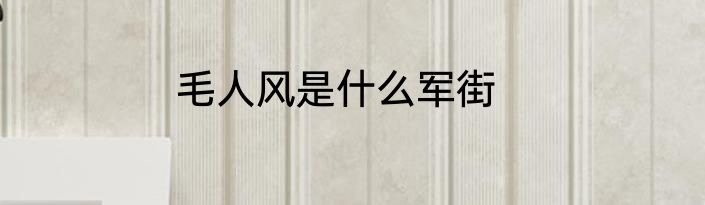 毛人风是什么军街