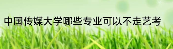 中国传媒大学哪些专业可以不走艺考