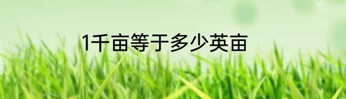 1千亩等于多少英亩