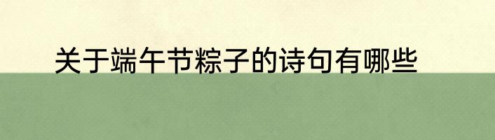 关于端午节粽子的诗句有哪些