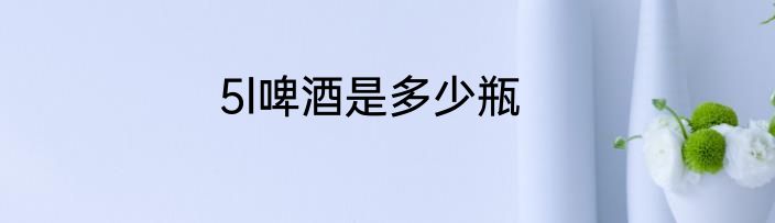 5l啤酒是多少瓶