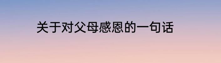 关于对父母感恩的一句话