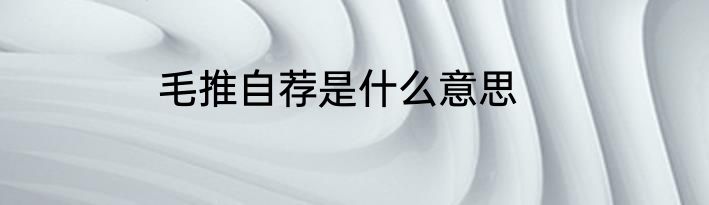 毛推自荐是什么意思